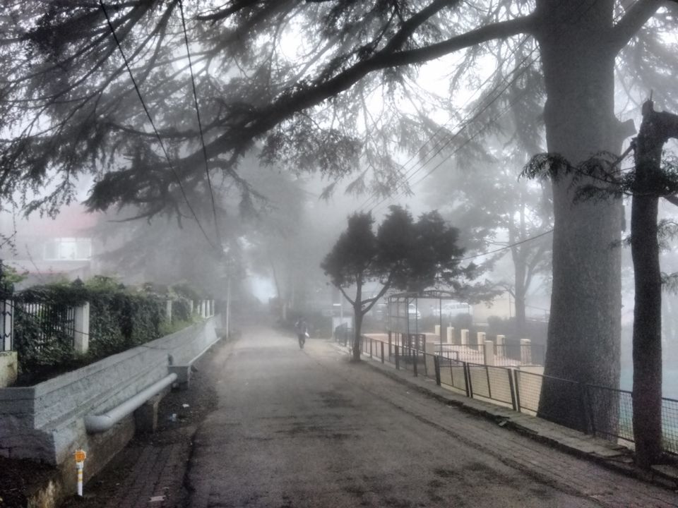 Photo of Kasauli – For that much needed peace of mind 74/93 by Rahul Shankhwar