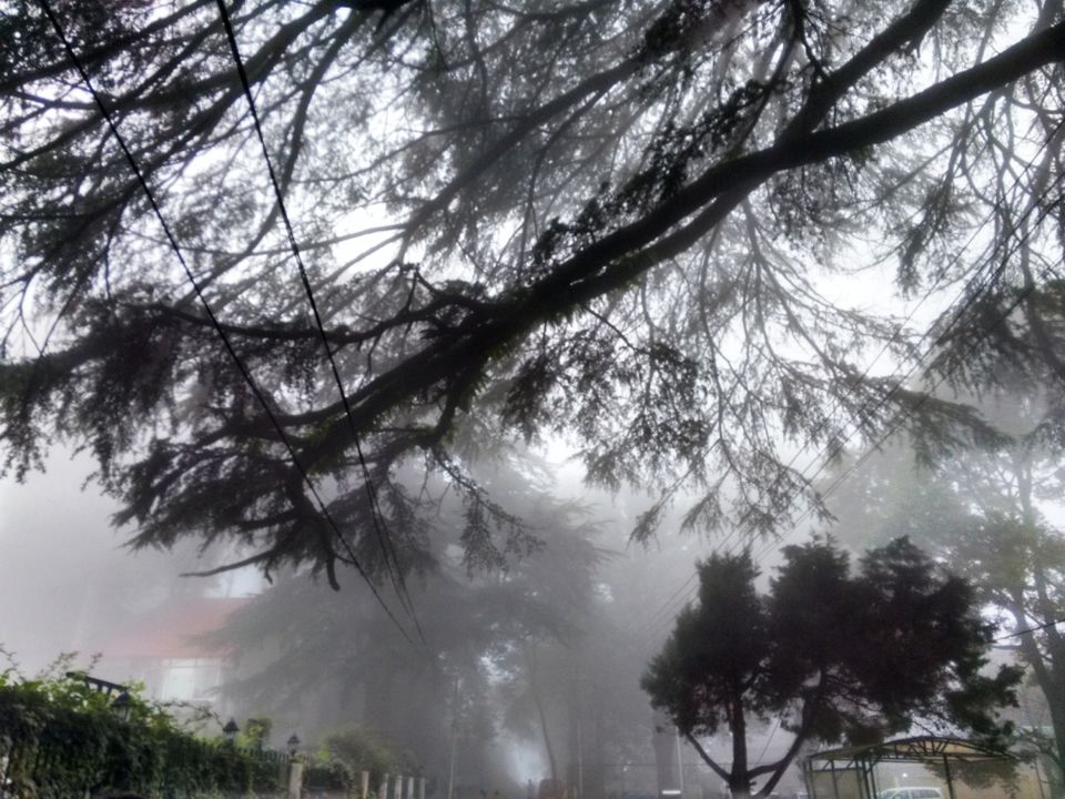 Photo of Kasauli – For that much needed peace of mind 75/93 by Rahul Shankhwar