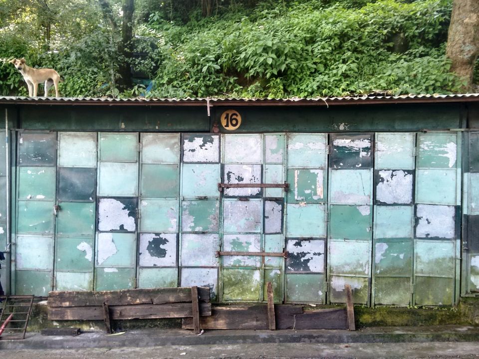 Photo of Kasauli – For that much needed peace of mind 83/93 by Rahul Shankhwar