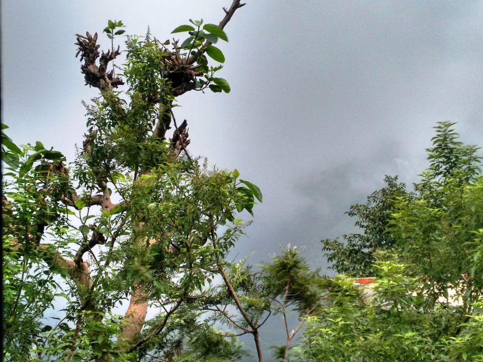 Photo of Kasauli – For that much needed peace of mind 84/93 by Rahul Shankhwar