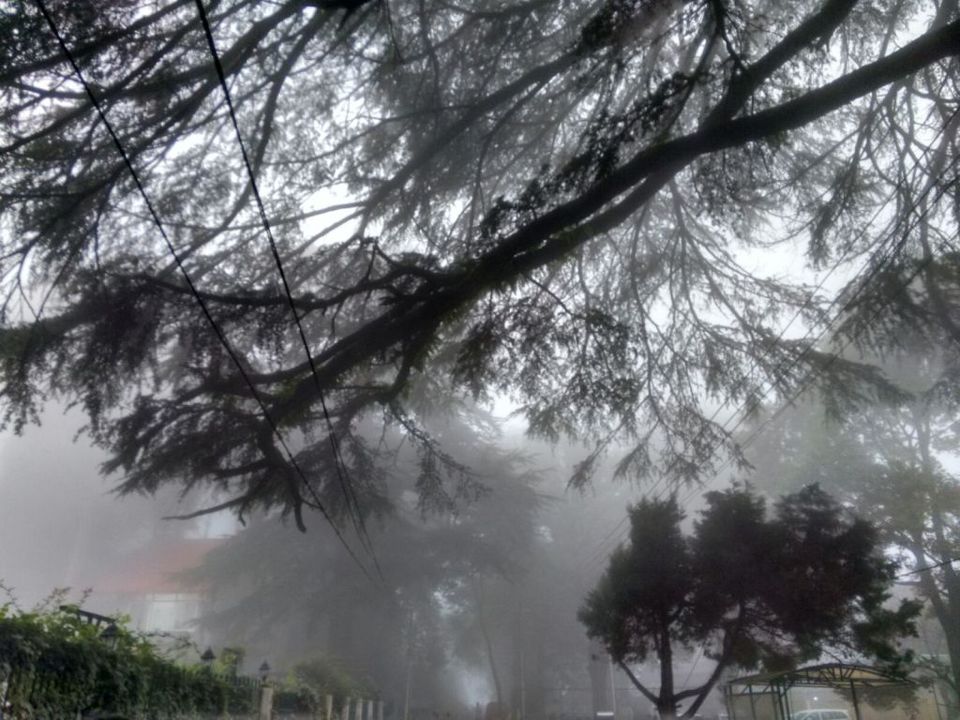 Photo of Kasauli – For that much needed peace of mind 89/93 by Rahul Shankhwar