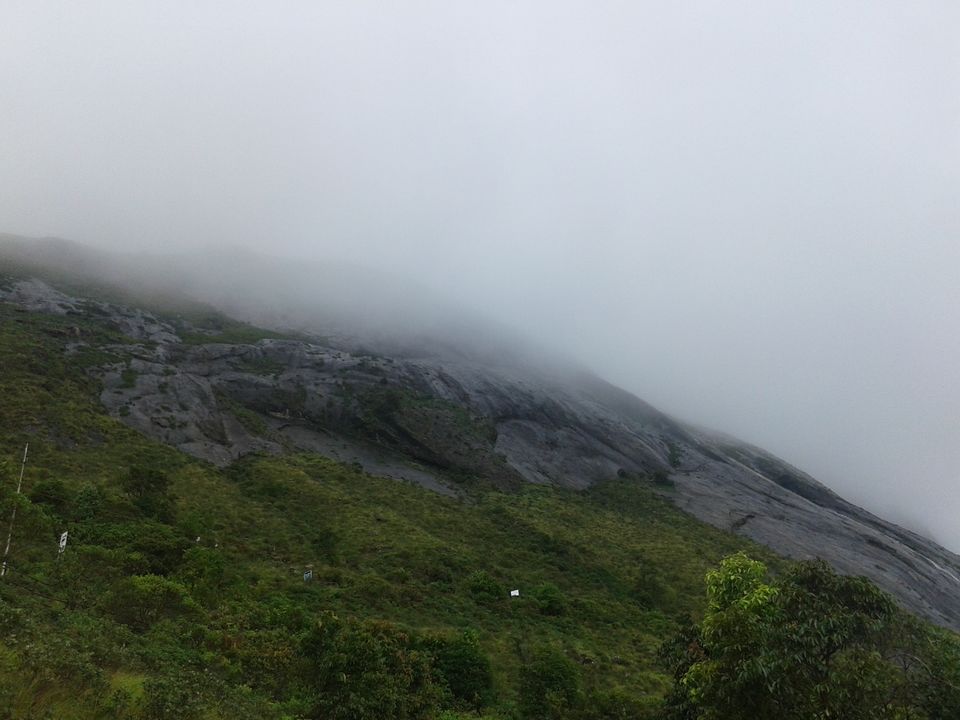 Photo of Being Wild with Nilgiri Tahr: Eravikulam National Park 2/15 by Abhinav Khurana