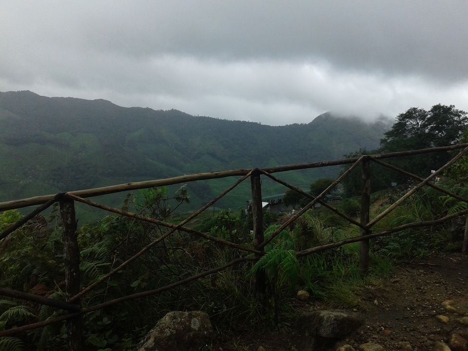 Photo of Being Wild with Nilgiri Tahr: Eravikulam National Park 3/15 by Abhinav Khurana