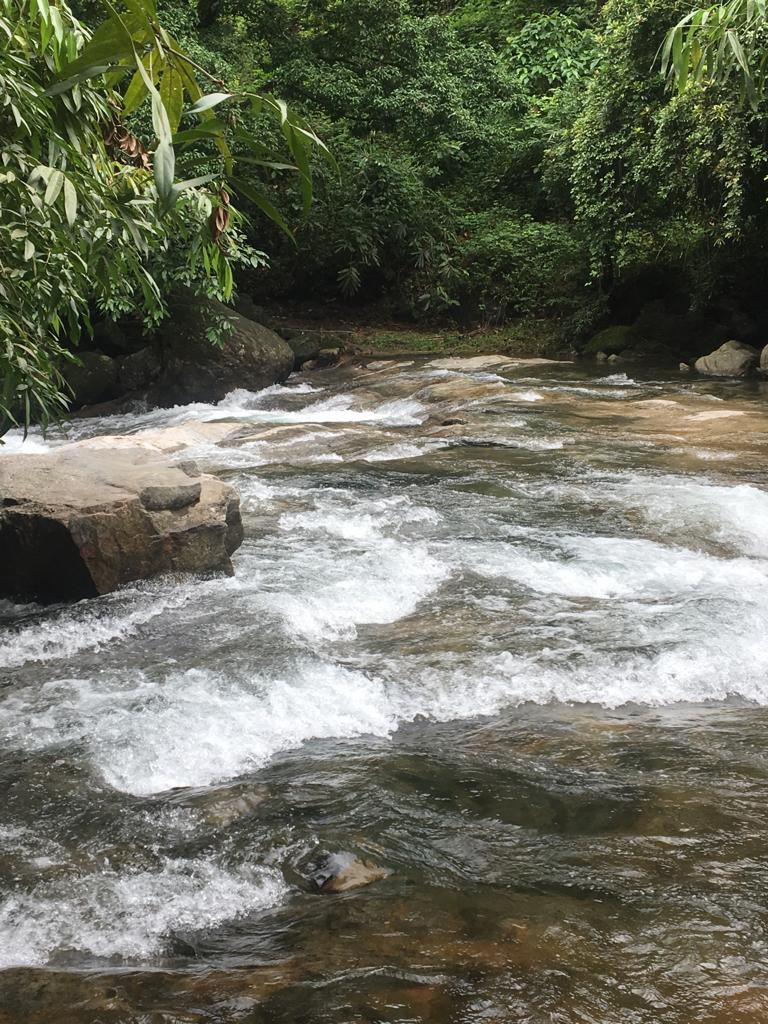 Photo of Vagamon, Kerala, India by Saheli Banerjee