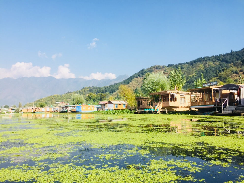 Photo of 4 Days Of Autumn In Jammu &Kashmir by Saheli Banerjee