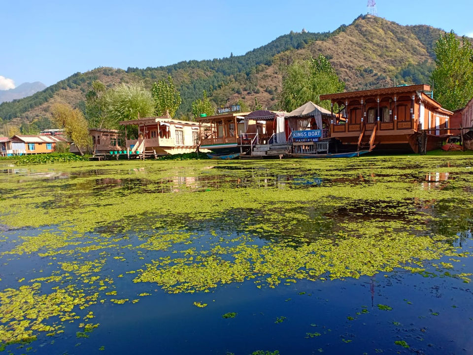Photo of 4 Days Of Autumn In Jammu &Kashmir by Saheli Banerjee