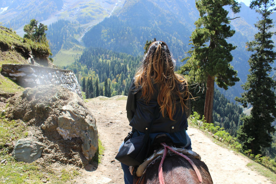 Photo of 4 Days Of Autumn In Jammu &Kashmir by Saheli Banerjee