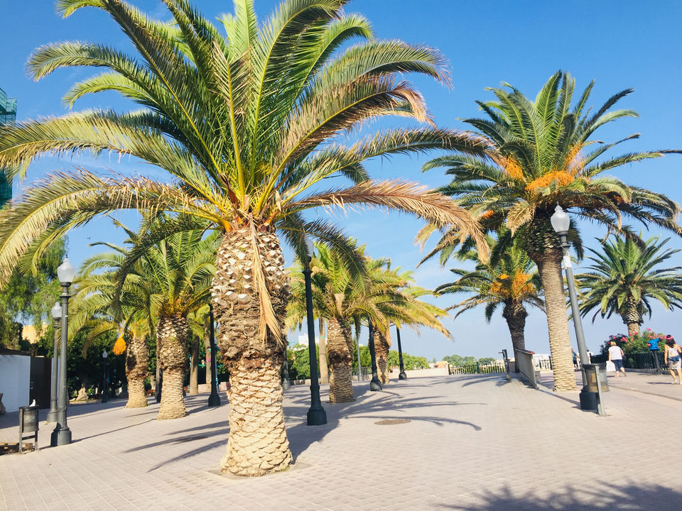 Photo of Tarragona, Spain by Saheli Banerjee