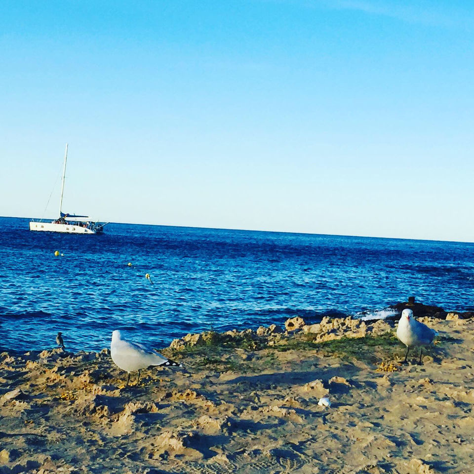 Photo of Guide To Your Spanish Holiday ! by Saheli Banerjee