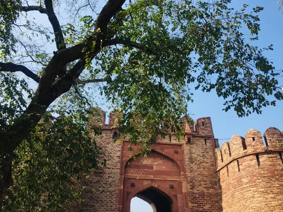 Photo of Ode To History! by Saheli Banerjee