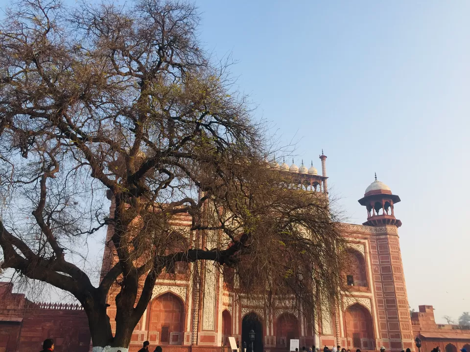 Photo of Ode To History! by Saheli Banerjee