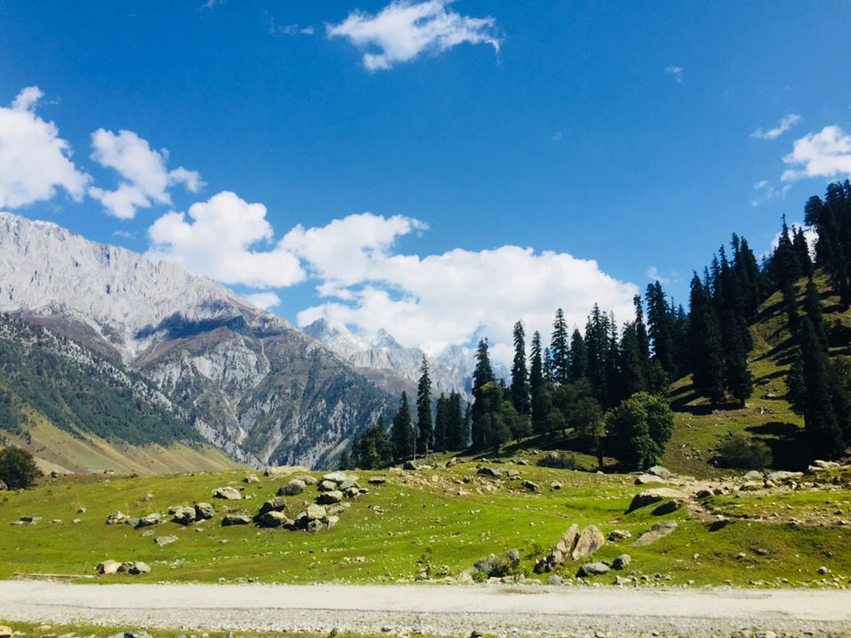 Photo of 4 Days Of Autumn In Jammu &Kashmir by Saheli Banerjee