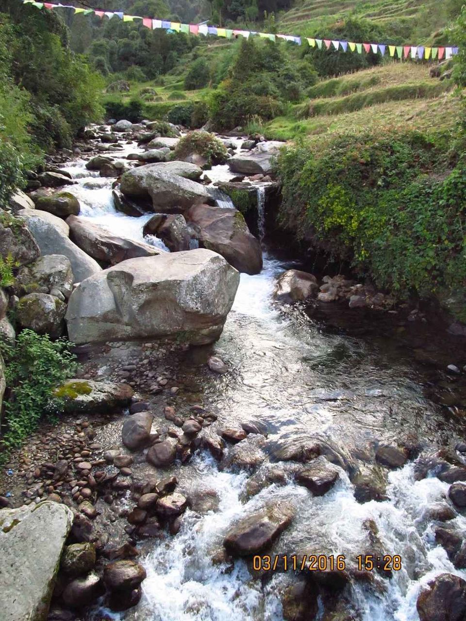 Photo of Gorkhey, West Bengal, India by Rosy Paul Chowdhury