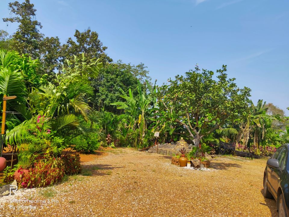 Photo of Moradia dos Quadros by CHAMPA MAHESH M