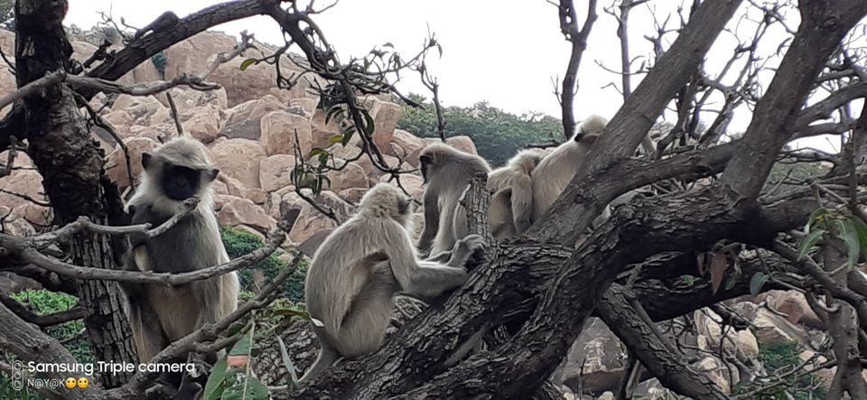 Photo of Hampi, Karnataka, India by ಪ್ರದೀಪ್ ನಾಯಕ್