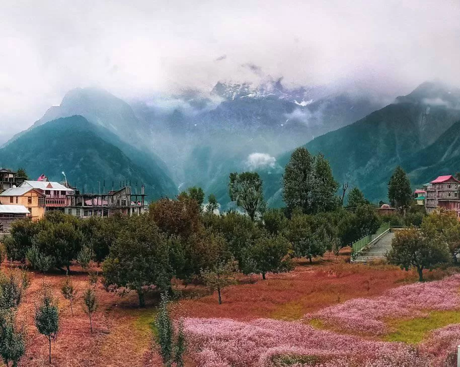 Photo of Kalpa, Reckong Peo, Himachal Pradesh, India by Kumar Vikram