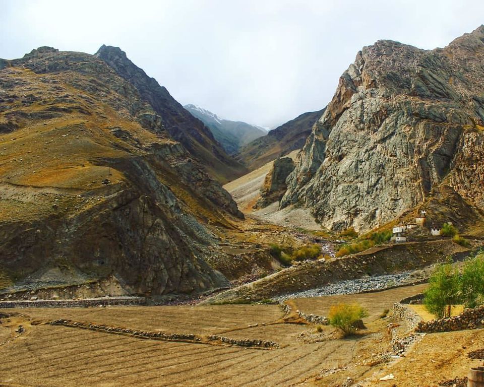 Photo of Tara Travellers Cafe In Pinvalley, Mudh Village, Mud, Himachal Pradesh, India by Kumar Vikram