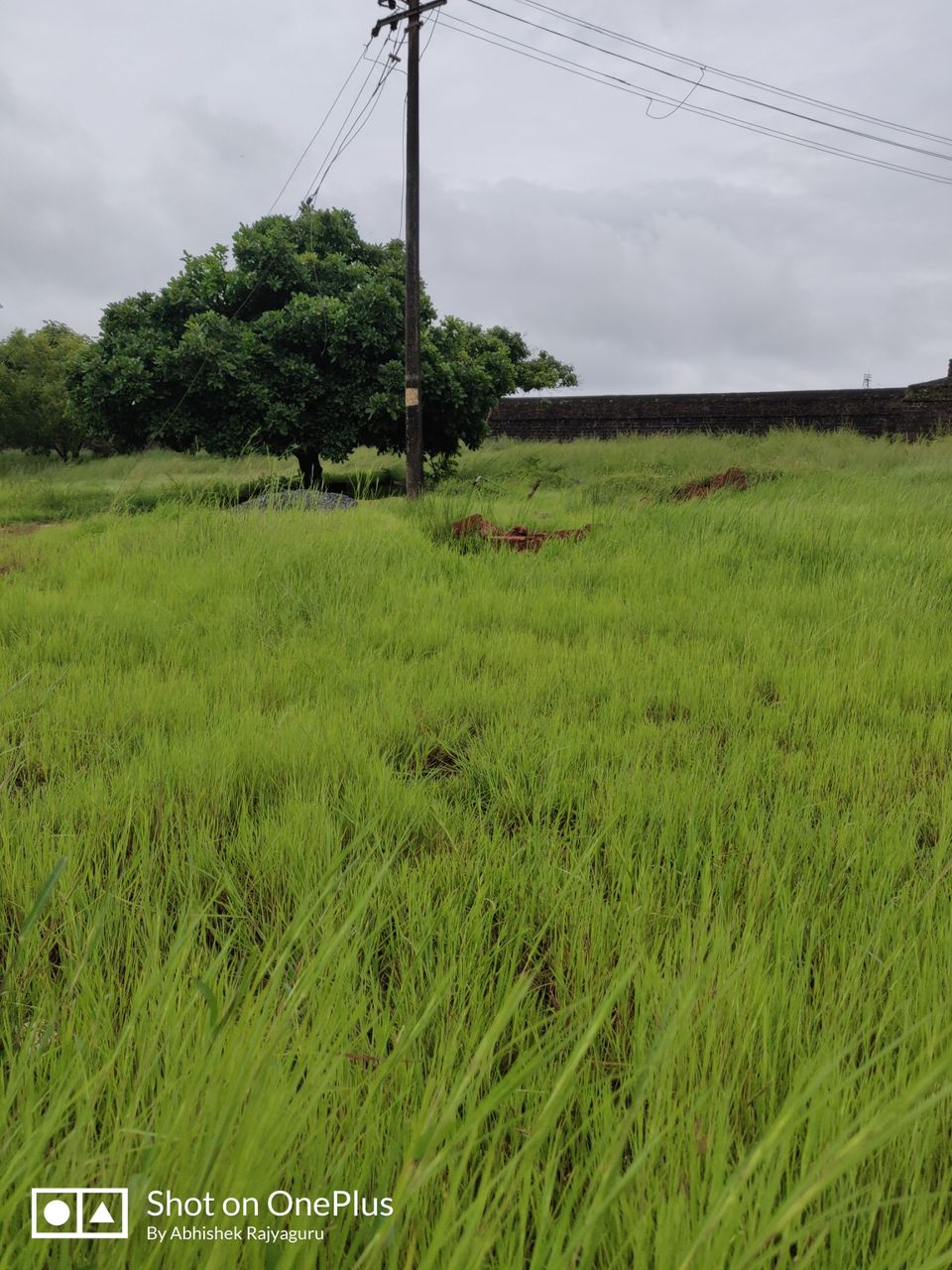 Photo of Chapora Fort, Chapora, Goa, India by Abhishek Rajyaguru