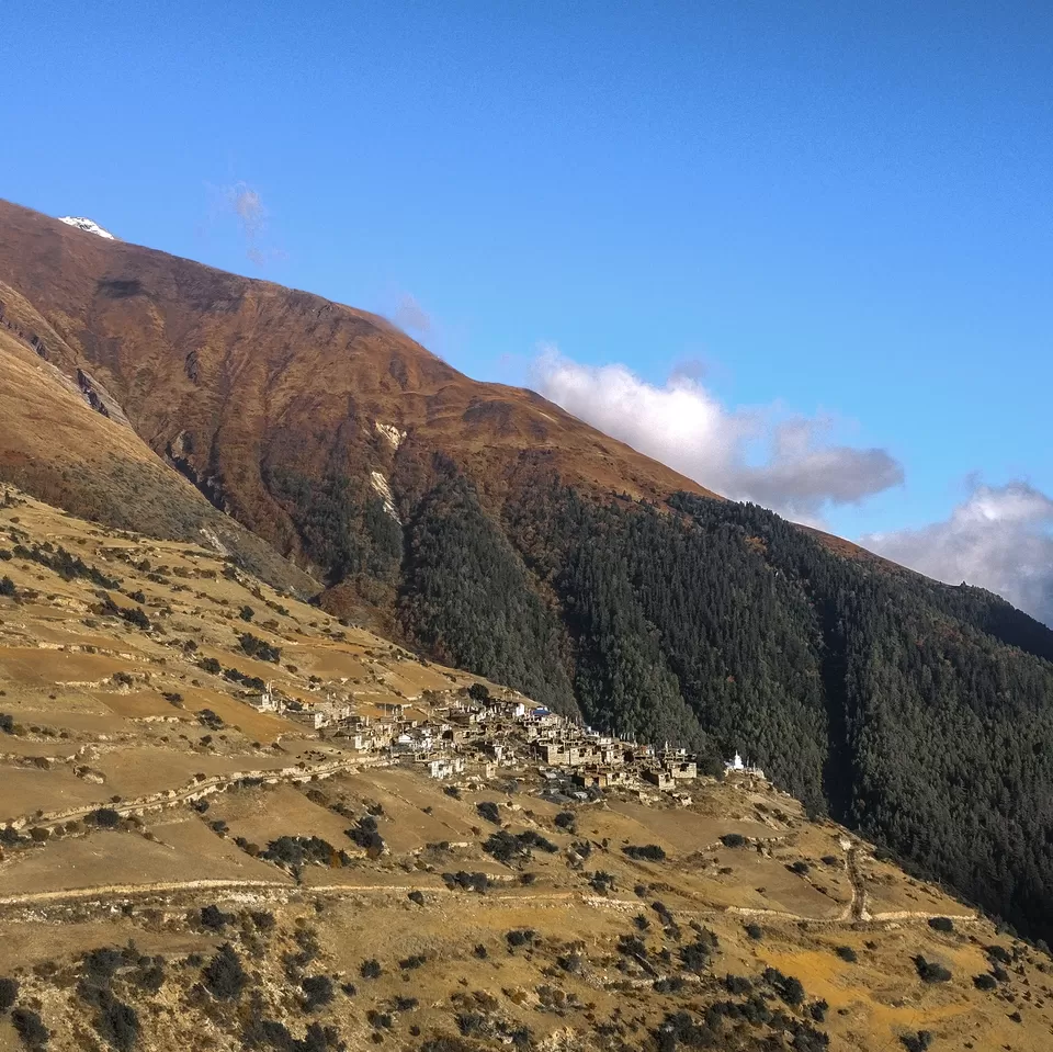 Photo of Ghyaru, Nepal by Creedaz