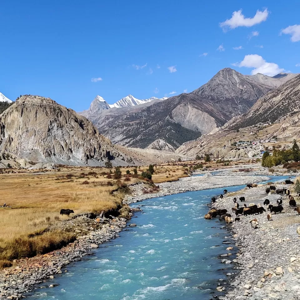 Photo of Manang, Nepal by Creedaz