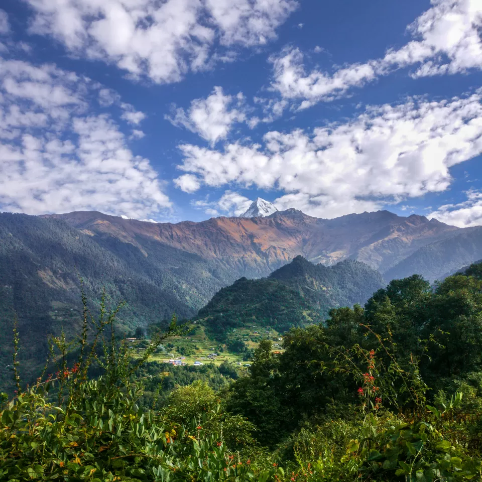 Photo of Ghara, Nepal, Nepal by Creedaz