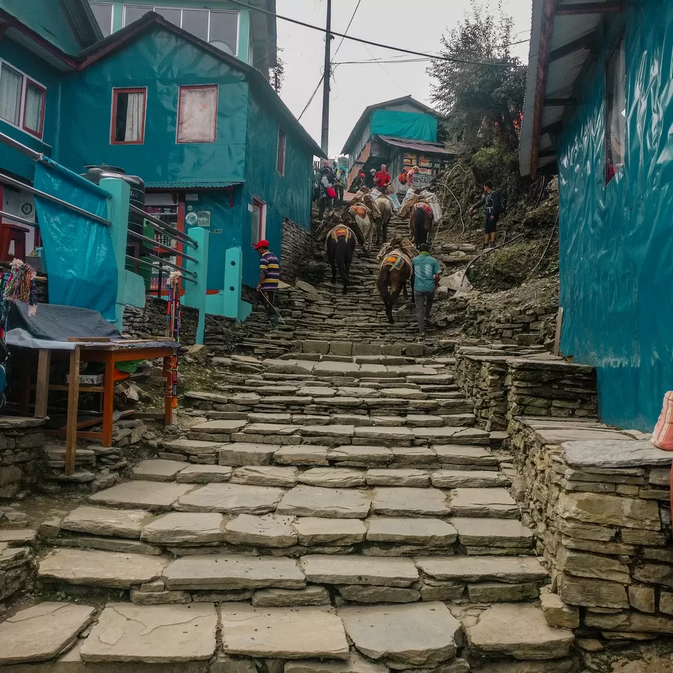 Photo of Ghorepani, Nepal by Creedaz