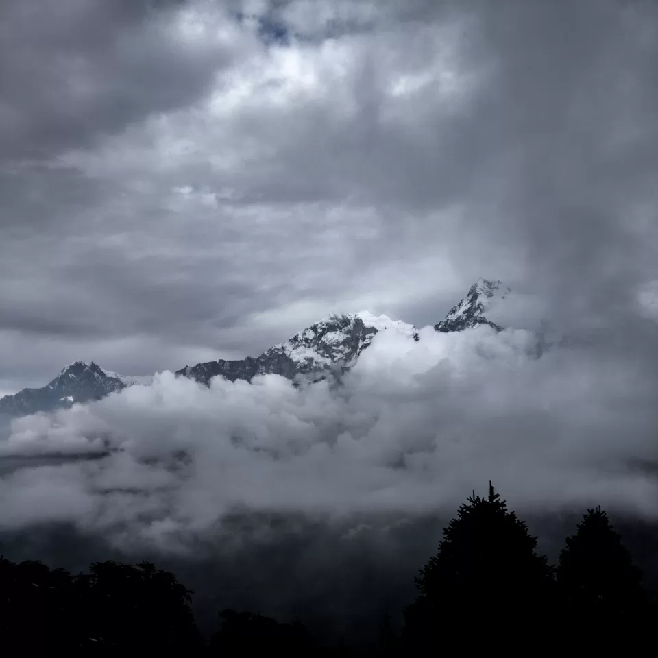 Photo of Poon Hill (3210M.), Poon Hill Marga, Ghode Pani, Nepal by Creedaz