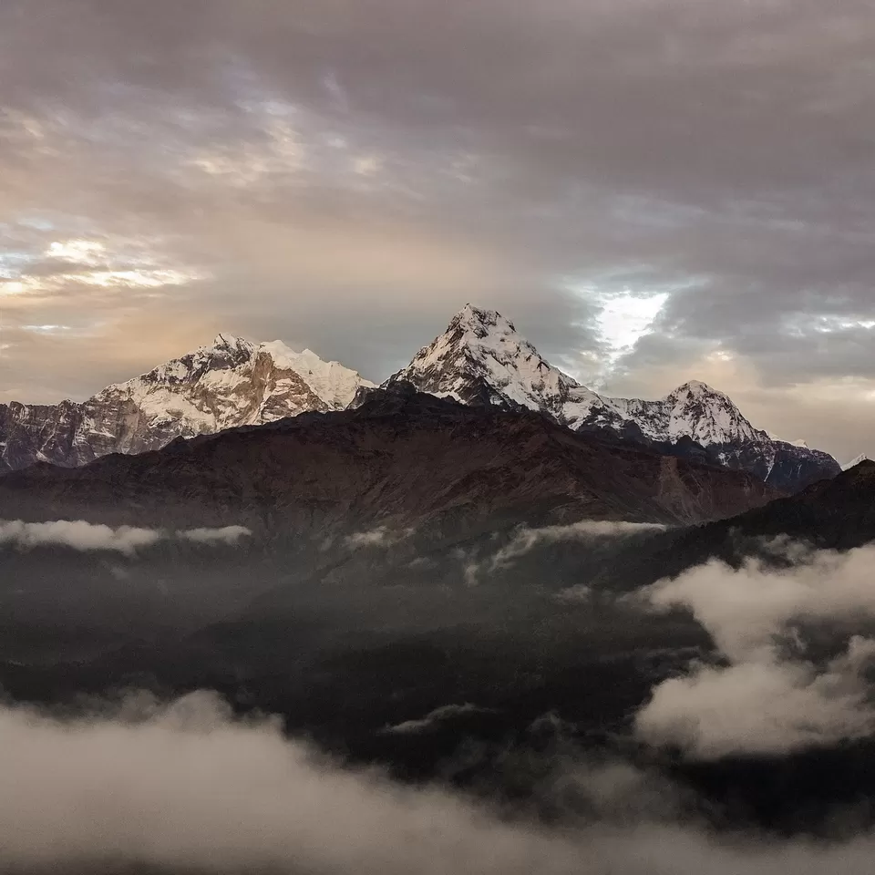Photo of Poon Hill (3210M.), Poon Hill Marga, Ghode Pani, Nepal by Creedaz
