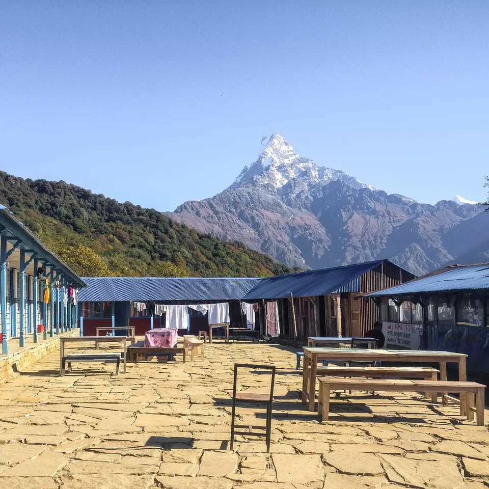 Photo of Mardi Himal Low Camp, Lwang Ghalel, Nepal by Creedaz