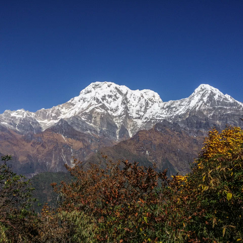 Photo of Mardi Himal High Camp, Lwang Ghalel, Nepal by Creedaz