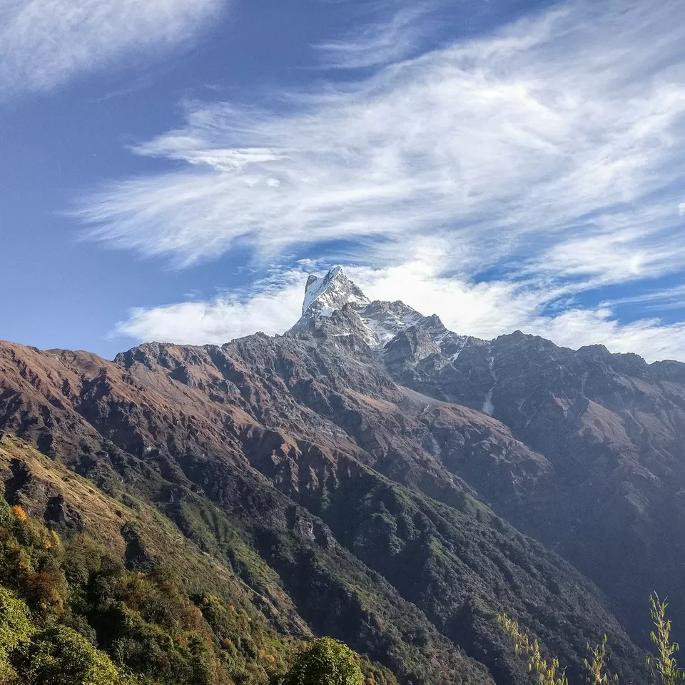 Photo of Mardi Himal High Camp, Lwang Ghalel, Nepal by Creedaz