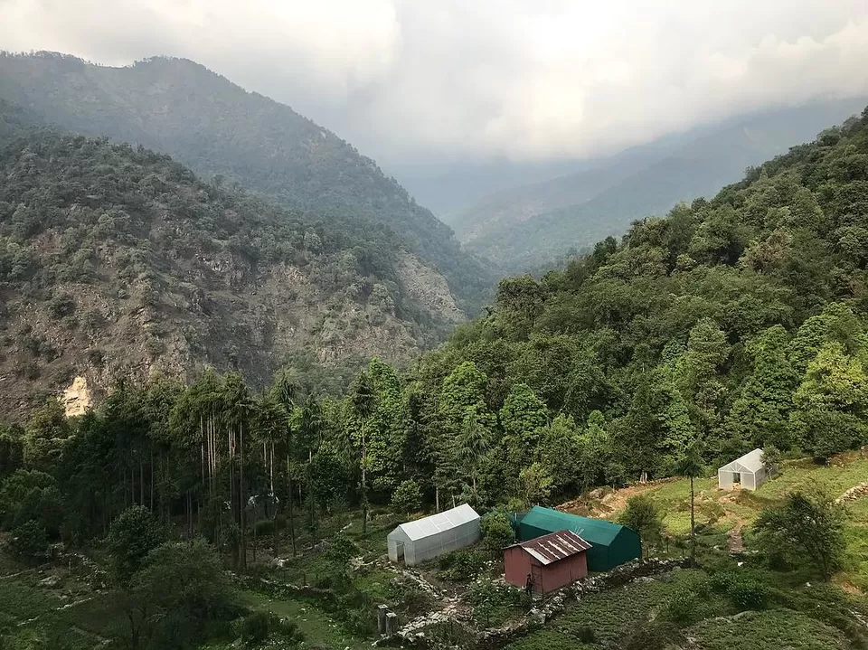 Photo of Chopta, Uttarakhand, India by Tushar Samar AKA Trek..King