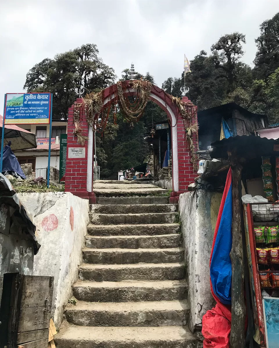 Photo of Chopta Tungnath Chandrashila Trekking, Uttarakhand, India by Tushar Samar AKA Trek..King