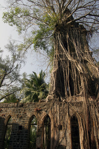 Photo of Ross Island by Mayank Raj