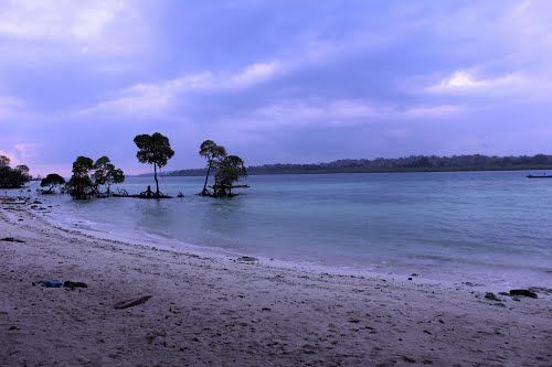 Photo of Neil Island, South Andaman, Andaman and Nicobar Islands, India by Mayank Raj