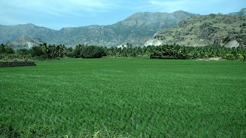 Photo of National Highway 47, Kanjikuzhy, Ward 1, Cherthala, Kerala, India by Mayank Raj