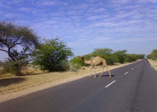 Photo of Barmer Road, Bhaniyana, Jaisalmer, Rajasthan, India by Mayank Raj