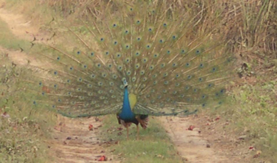 Photo of Discover NEPAL: The Indian Replica 7/7 by Mayank Raj