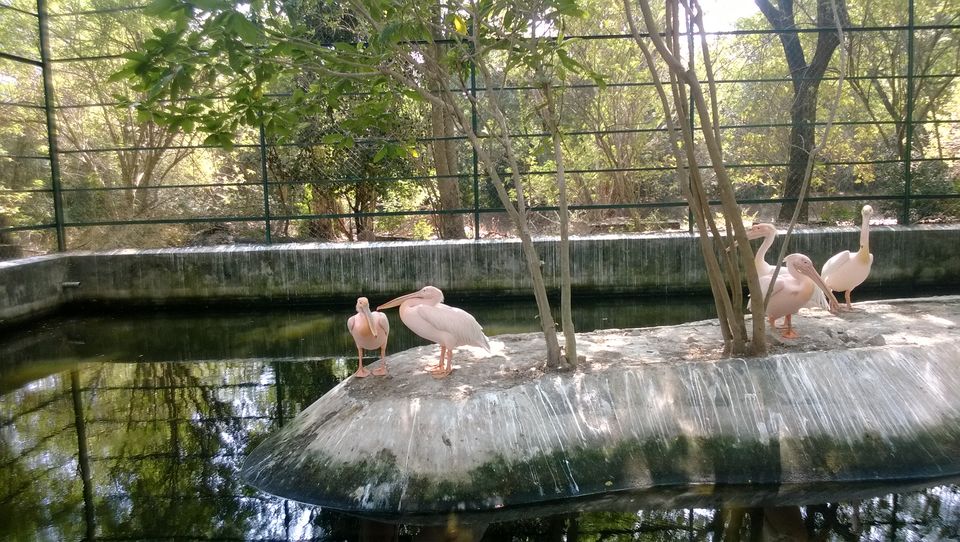Photo of What to do in CHENNAI for 1 Day 3/15 by Mayank Raj