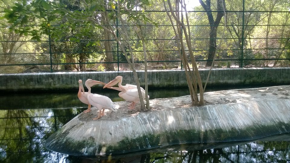Photo of What to do in CHENNAI for 1 Day 4/15 by Mayank Raj