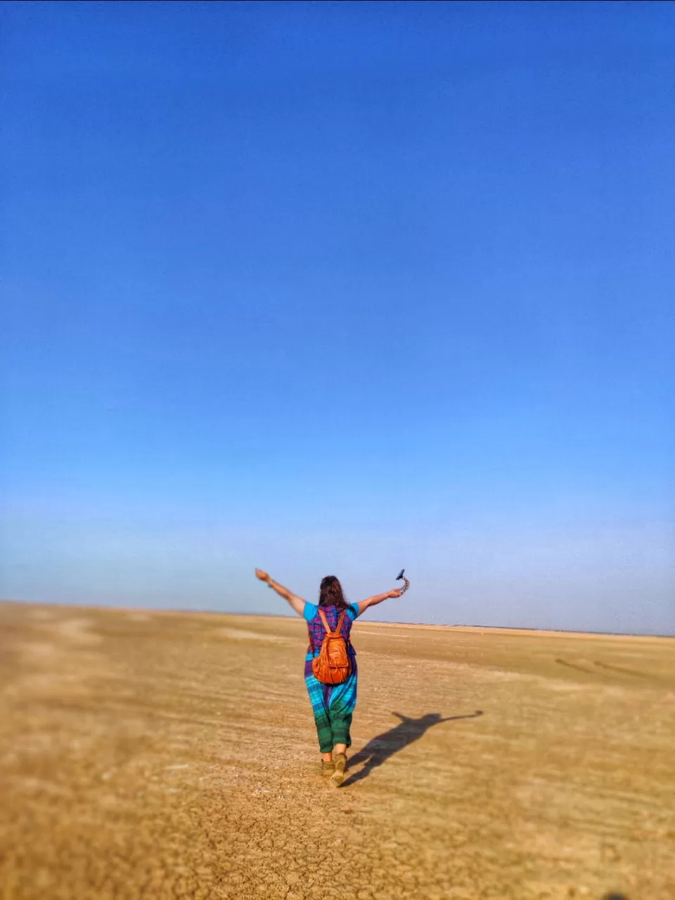 Photo of EkalMata temple (એકલ માતા મંદિર) by Tejdipty Pawade