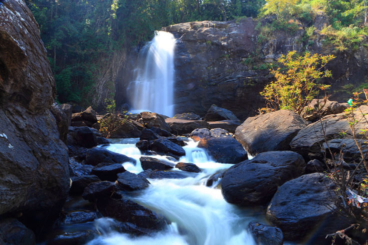 Photo of Wayanad – Wyldwater..The Dream Paradise 9/11 by Samya Maiti