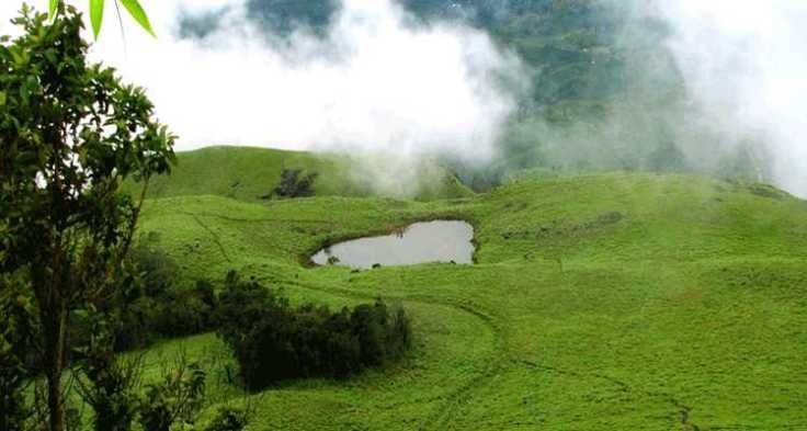 Photo of Wayanad – Wyldwater..The Dream Paradise 11/11 by Samya Maiti