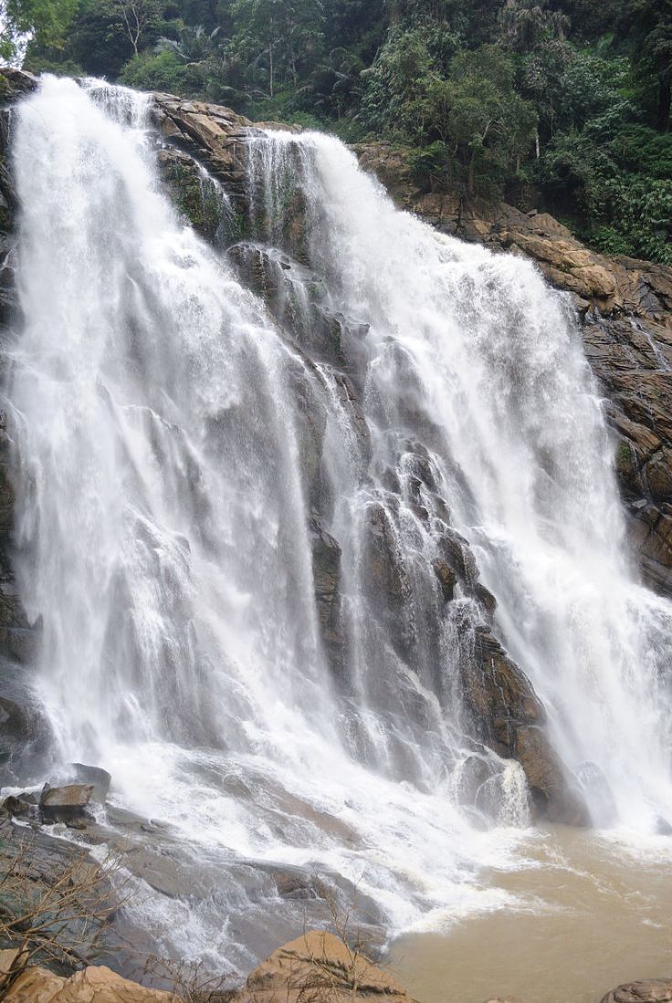 Photo of Wayanad – Wyldwater..The Dream Paradise 8/11 by Samya Maiti