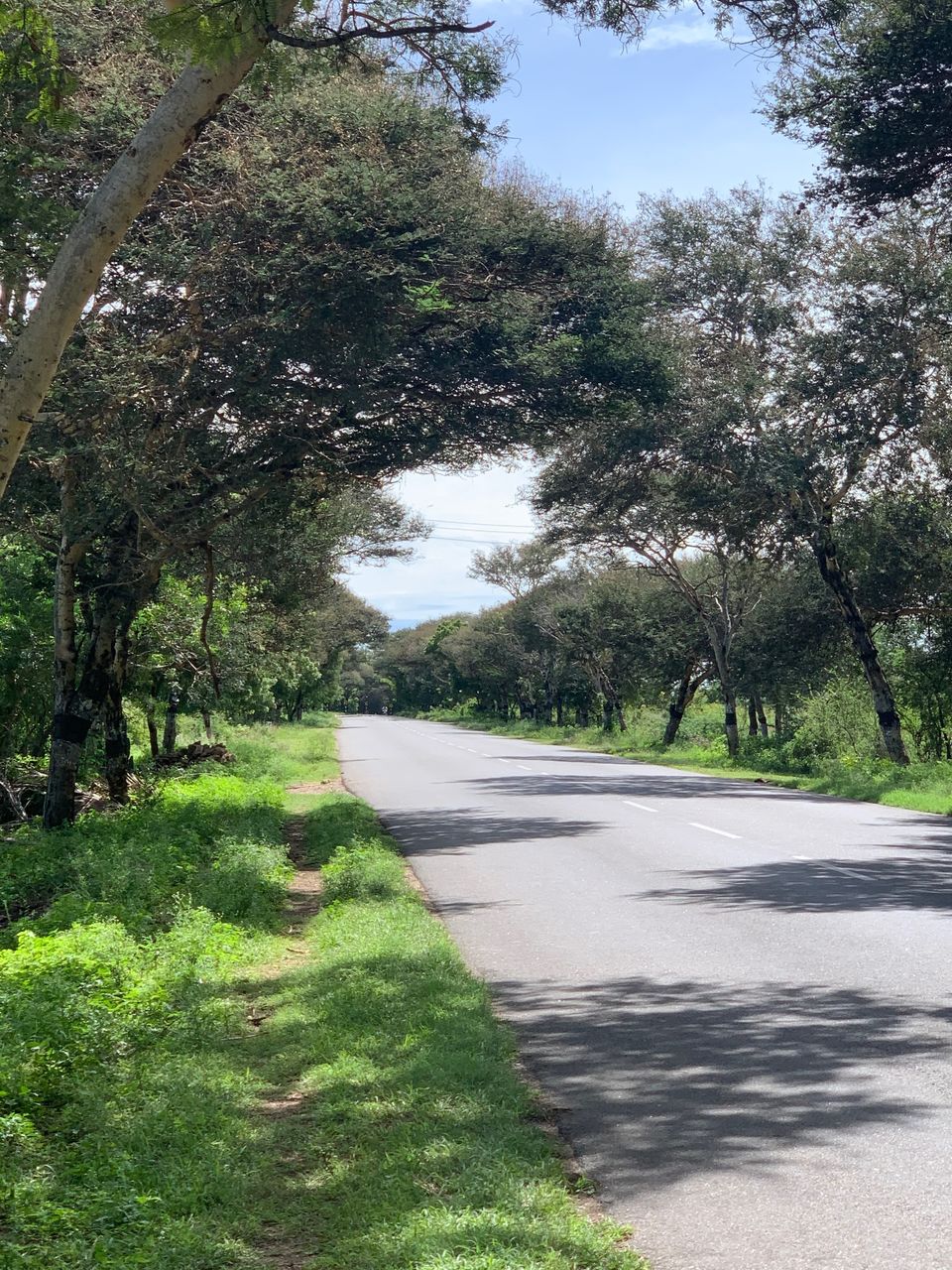 Photo of Coimbatore-Palani-Madurai-Kodaikanal-Pollachi-Palakkad Solo Trip in my RE (Oct 2019) 4/8 by SoulRider