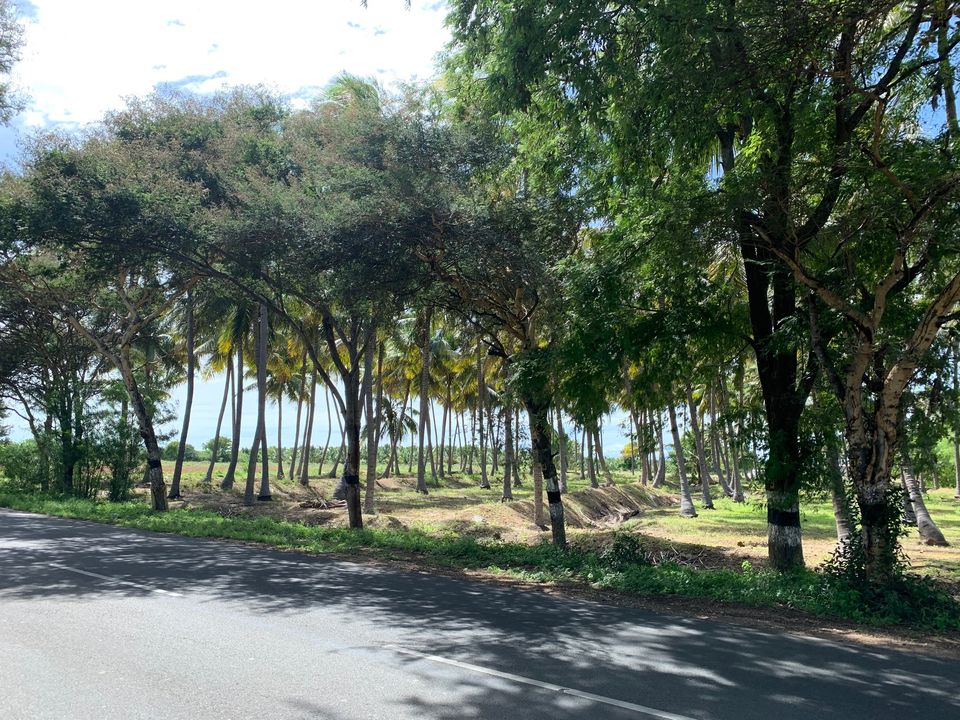 Photo of Coimbatore-Palani-Madurai-Kodaikanal-Pollachi-Palakkad Solo Trip in my RE (Oct 2019) 5/8 by SoulRider