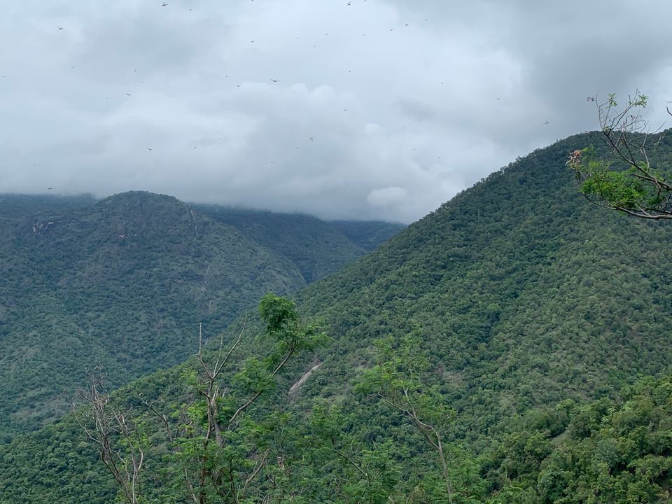 Photo of Coimbatore-Palani-Madurai-Kodaikanal-Pollachi-Palakkad Solo Trip in my RE (Oct 2019) by SoulRider