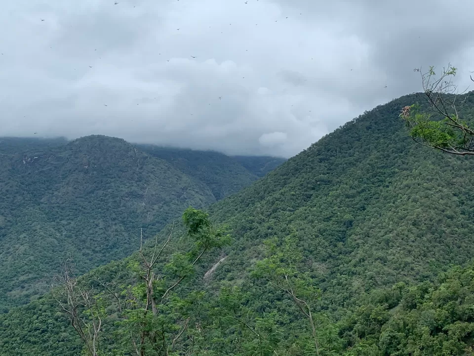 Photo of Coimbatore-Palani-Madurai-Kodaikanal-Pollachi-Palakkad Solo Trip in my RE (Oct 2019) by SoulRider
