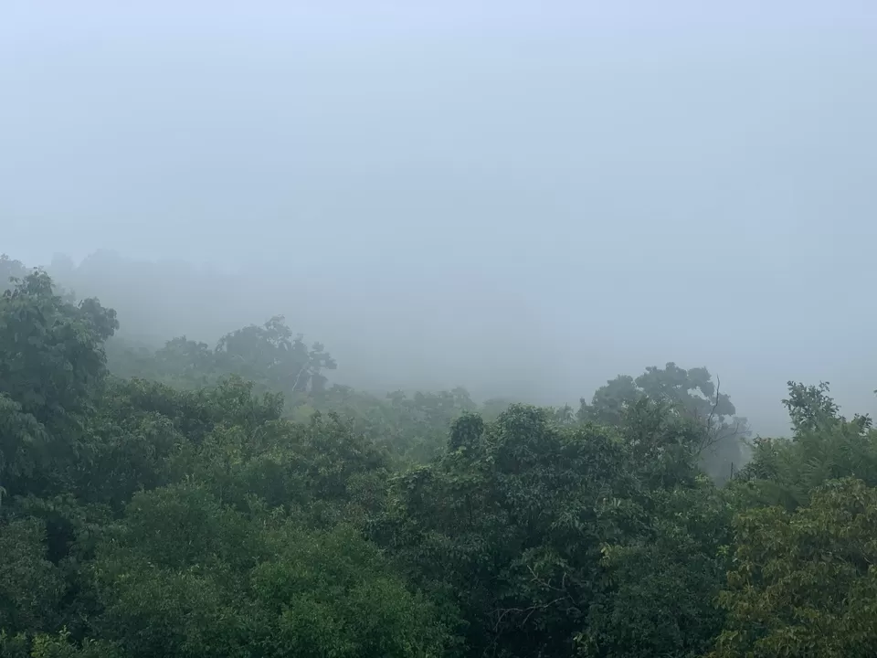 Photo of Coimbatore-Palani-Madurai-Kodaikanal-Pollachi-Palakkad Solo Trip in my RE (Oct 2019) by SoulRider