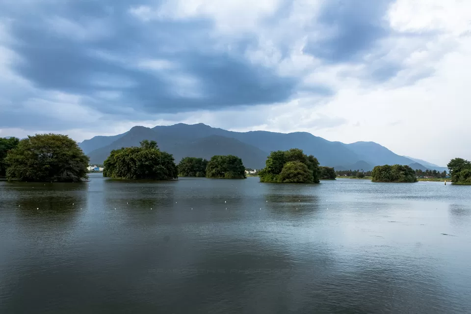 Photo of Mookaneri Bird Watching Spot, Kannankurichi, Tamil Nadu, India by Arun Praseeth